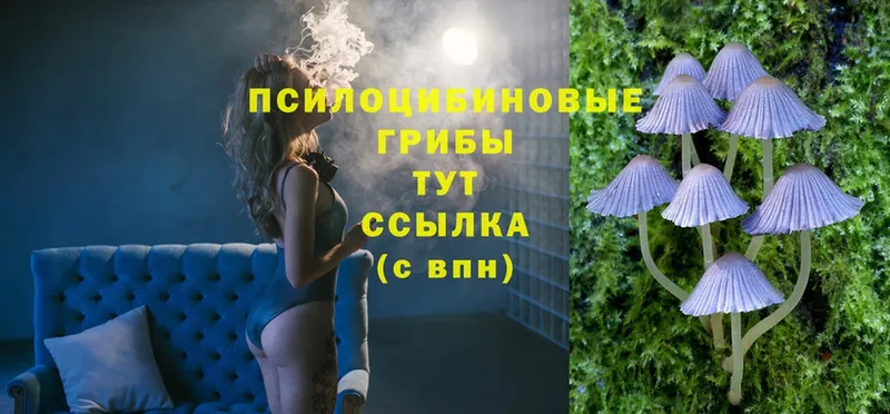 Галлюциногенные грибы MAGIC MUSHROOMS  Сатка 